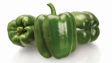 Green Pepper 