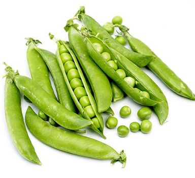 Peas 🫛 