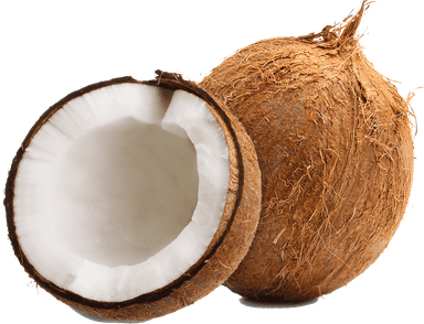 Coconut 🥥 