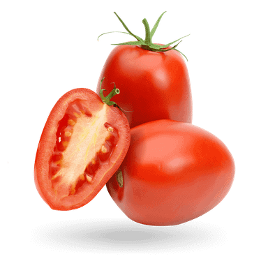 Tomato