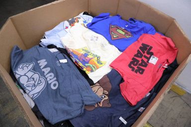 Irregulars Unmanifested Pallets of Assorted Licensed T Shirts for Men, Women & Children 