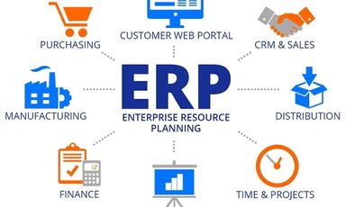 ERP System Development and Implementation