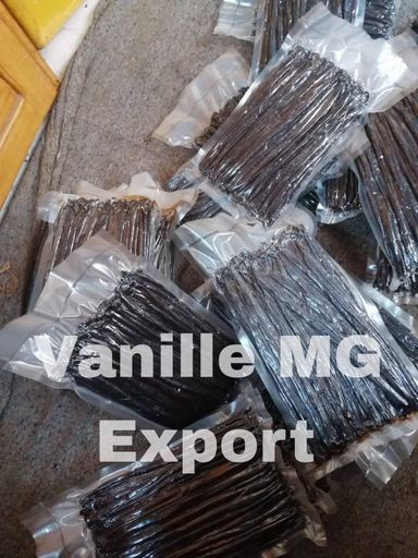 Gousses de Vanille Pompona – Collection Rare