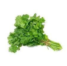 Cilantro