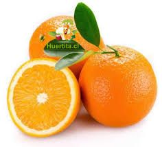 Naranja  (kilo)