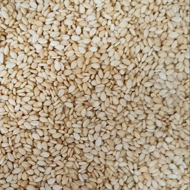 Choice White Sesame (Seto Til), 180gm