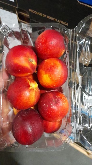 Punnet Nectarines