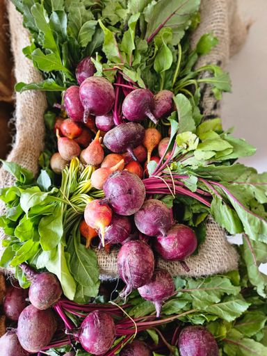 Bunch rainbow beetroot