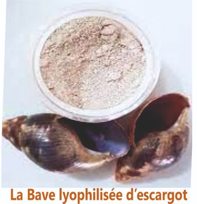 bave hyophilisée