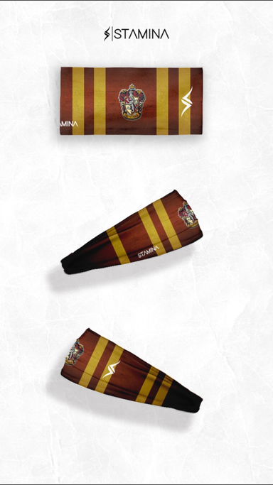 Bandanas de Harry Potter