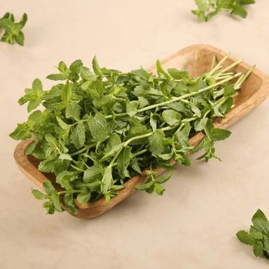 Pudina/Mint Leaves, 1bunch