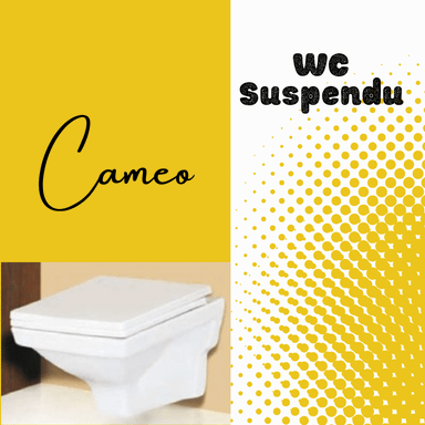 WC Suspendu Cameo