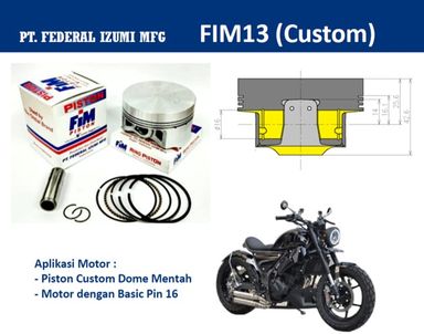 FIM13-000