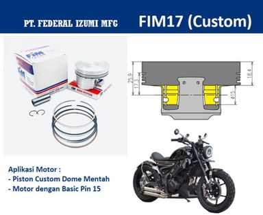 FIM17-000