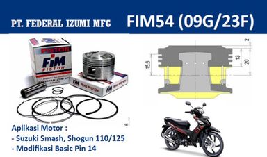 FIM54-100