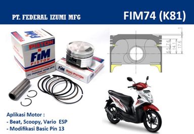 FIM74-250