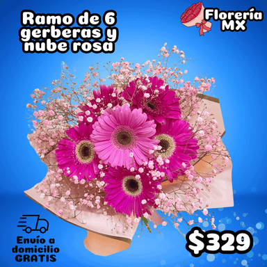 RAMO DE 6 GERBERAS CON NUBE ROSA