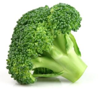 broccoli 