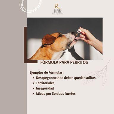 Oferta Terapia de Flores de Bach 10% de descuento Primera Fórmula