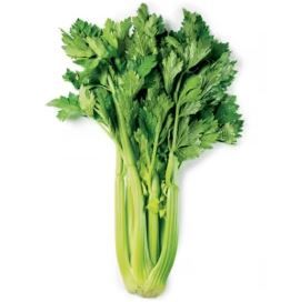 Celery