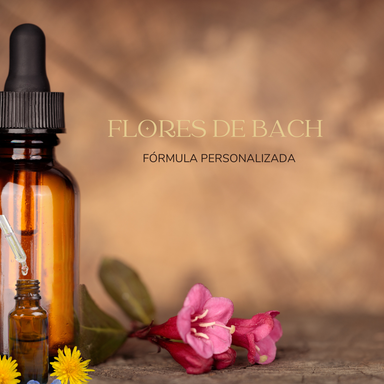 Oferta KIT 6 Meses, 35 % Descuento Terapia de Flores de Bach