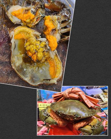 鴛鴦膏蟹🦀(約8~9兩)(隻)