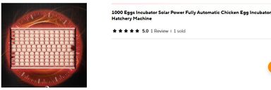 Eggs Incubator / Hatcher