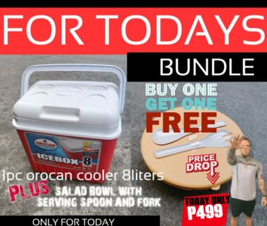 Today BUNDLE promo only