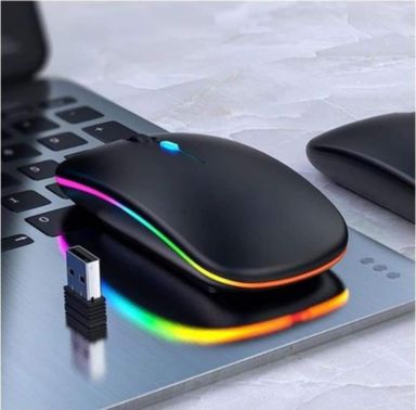 Souris Sans fil Rechargeable