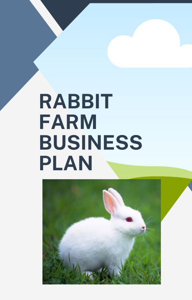 Rabbit Farm Business Plan Guide