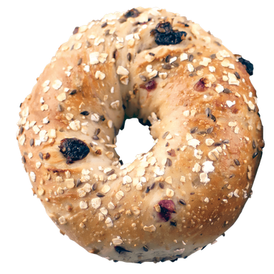 Cranberry Oat Bagels