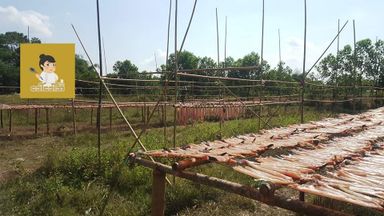 ဒေါ်ဒေါ်အိလက်ရာ_ငါးရံ့ခြောက်မီးကင်ထုမွ