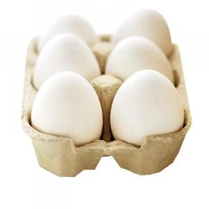 Organic Broiler chicken eggs 