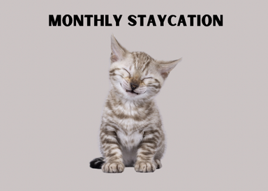 Fur Baby Staycation (Monthly)