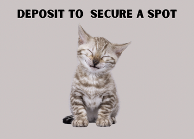 Deposit To Secure A Spot