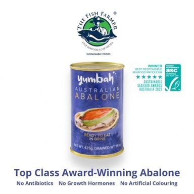 Yumbah Brine Abalone 5 pcs/can drain weight 140g 