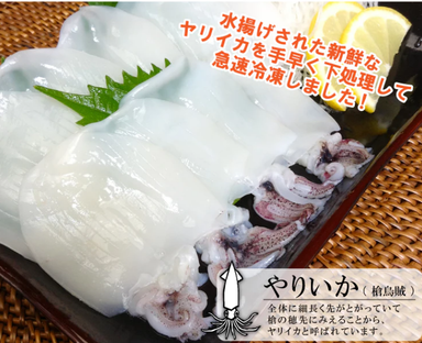 Shashimi- Baby Squid (tray pack) (200g) 