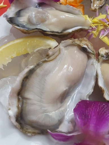 Sashimi - Murutsu Oyster (Large)- 6pcs 