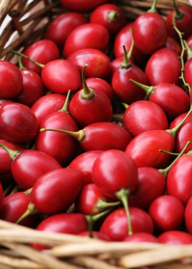 Tree Tomatoes ( ibinyarwanda )