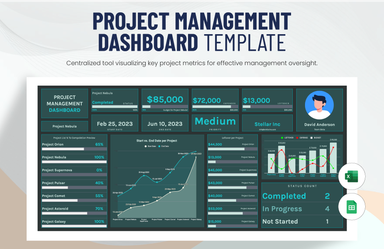 Project Management Template 