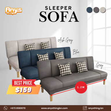 Sleeper Sofa