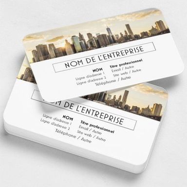 CARTE PROFESSIONNEL 