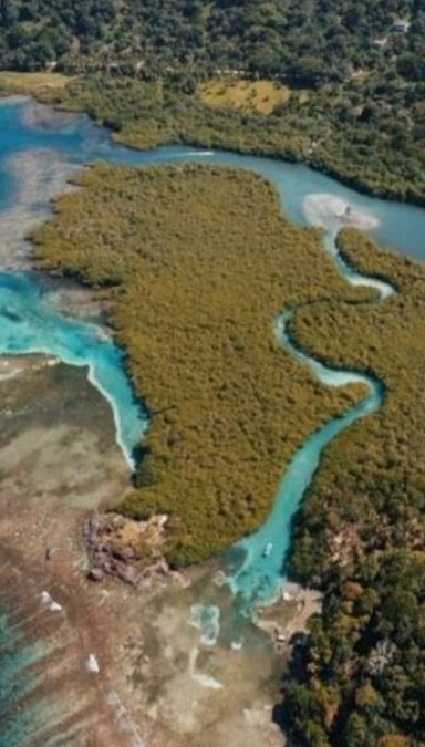 Túnel del Amor 💘 Isla Monos 🐵 Isla Mamey 