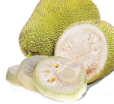 Nangka Muda