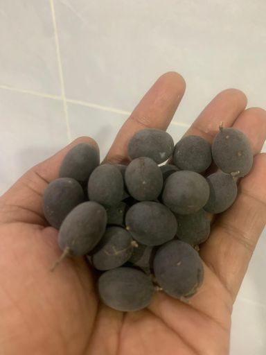 Buah Keranji Kampung 1kg rm27