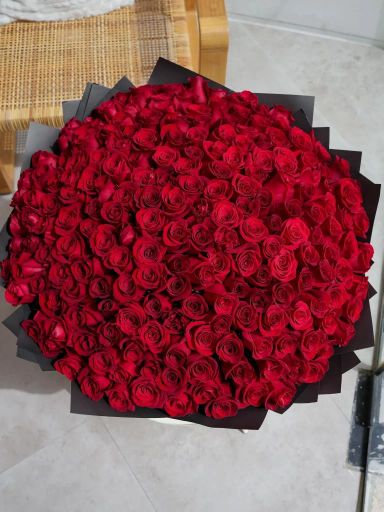 Roses rouge 