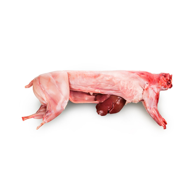 Lapin frais (1kg - 1,1kg)