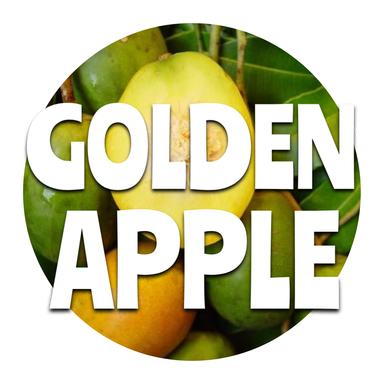 Golden Apple