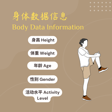 身体数据信息 Body Data Information