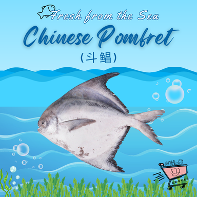 Fresh Chinese Pomfret 斗鲳 350/750g